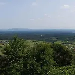 In - Kranjska *