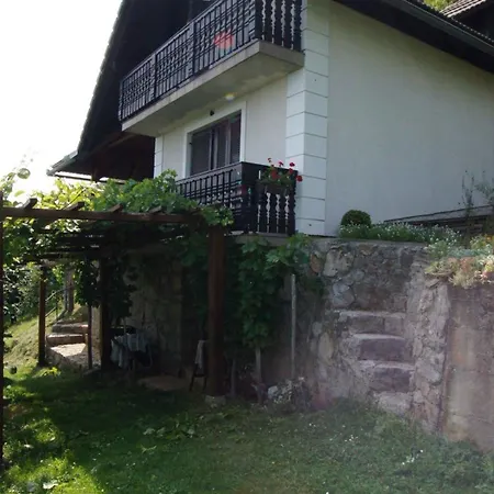 In - Kranjska