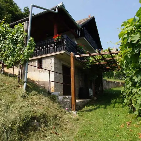 In - Kranjska *