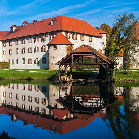 In - Kranjska